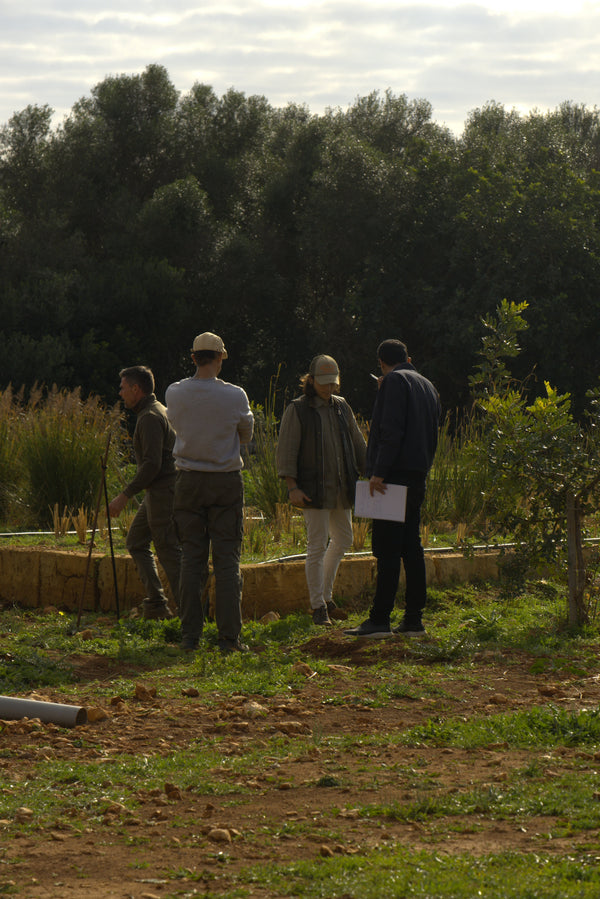 Regeneration at the Root of How Cala Falcó Collection's Scents Begin on the Land