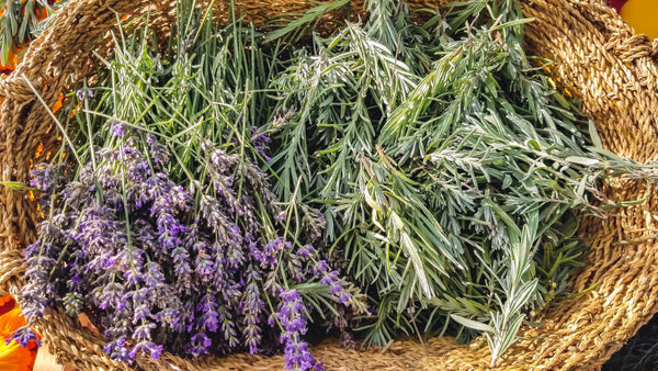The Science Behind Aromatherapy: How Natural Scents like Lavender, Rosemary and Citrus Can Boost Your Mood