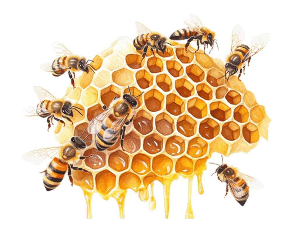 Honey