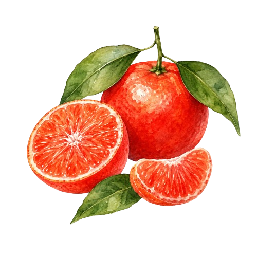 grapefruit