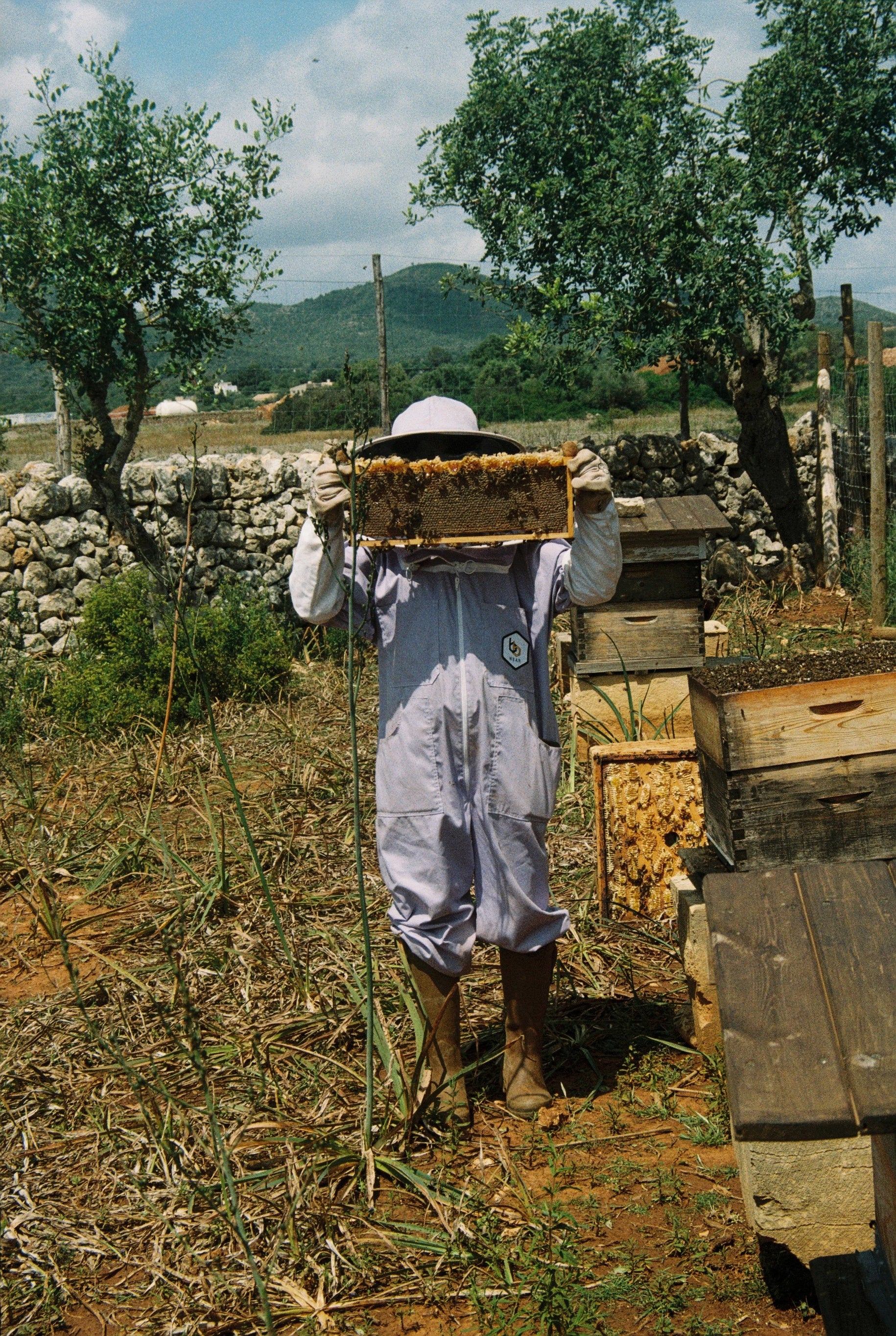 Person in a beekeeping suit holding a beehive frame outdoors on the Cala Falcó estate