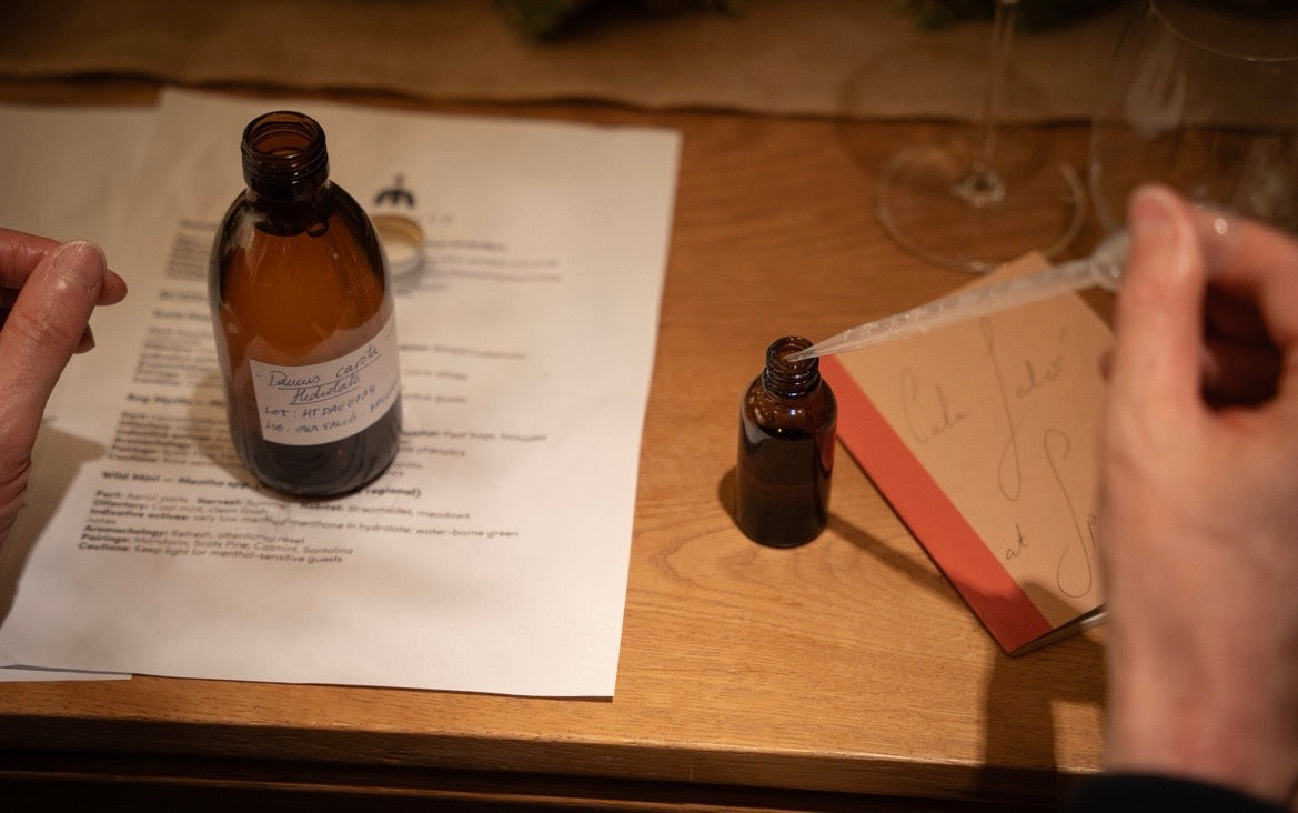 Cala Falcó at Spring botanicals experimentation from HIDE event in Mayfair