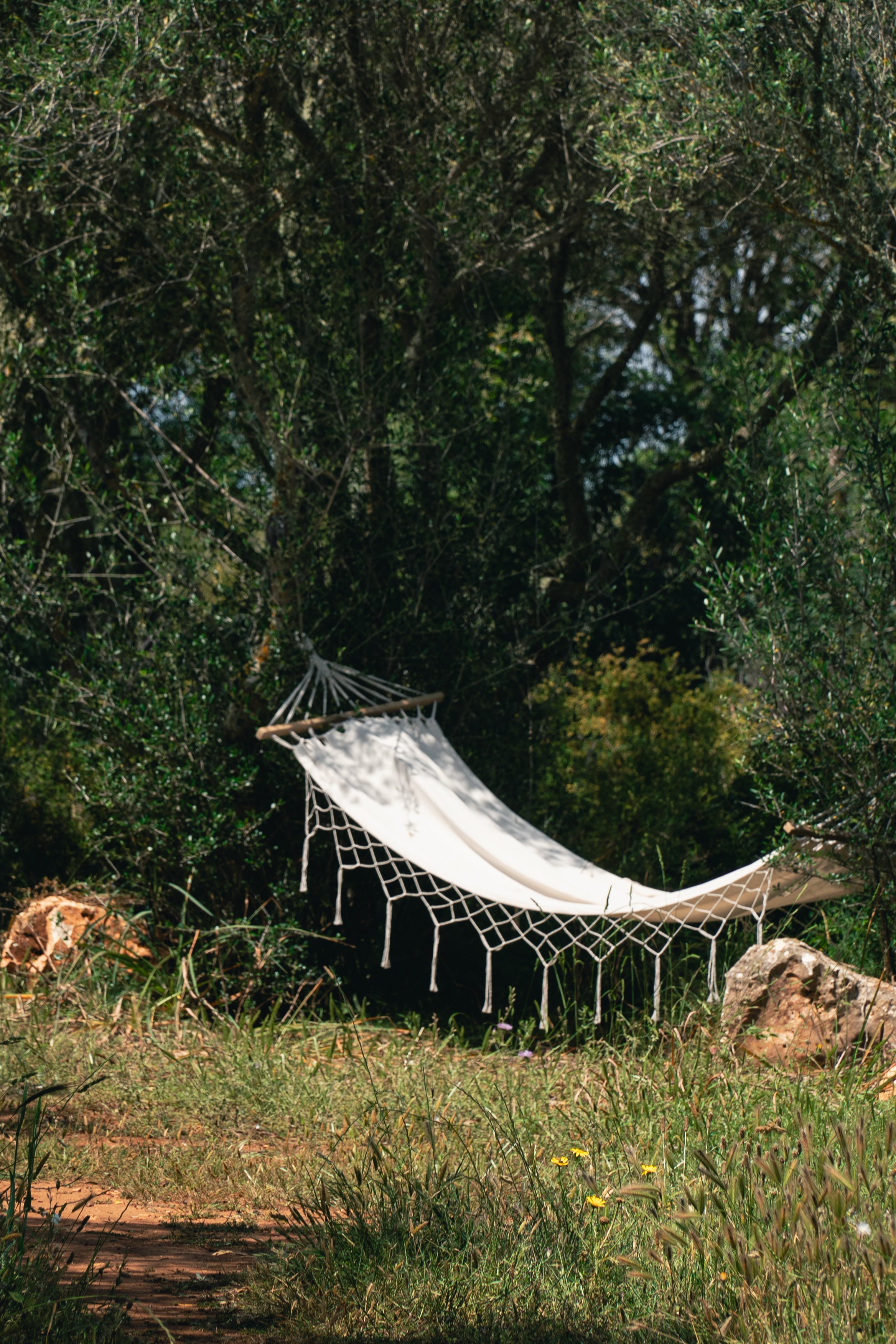 Hammock hanging between trees on the Cala Falcó farm