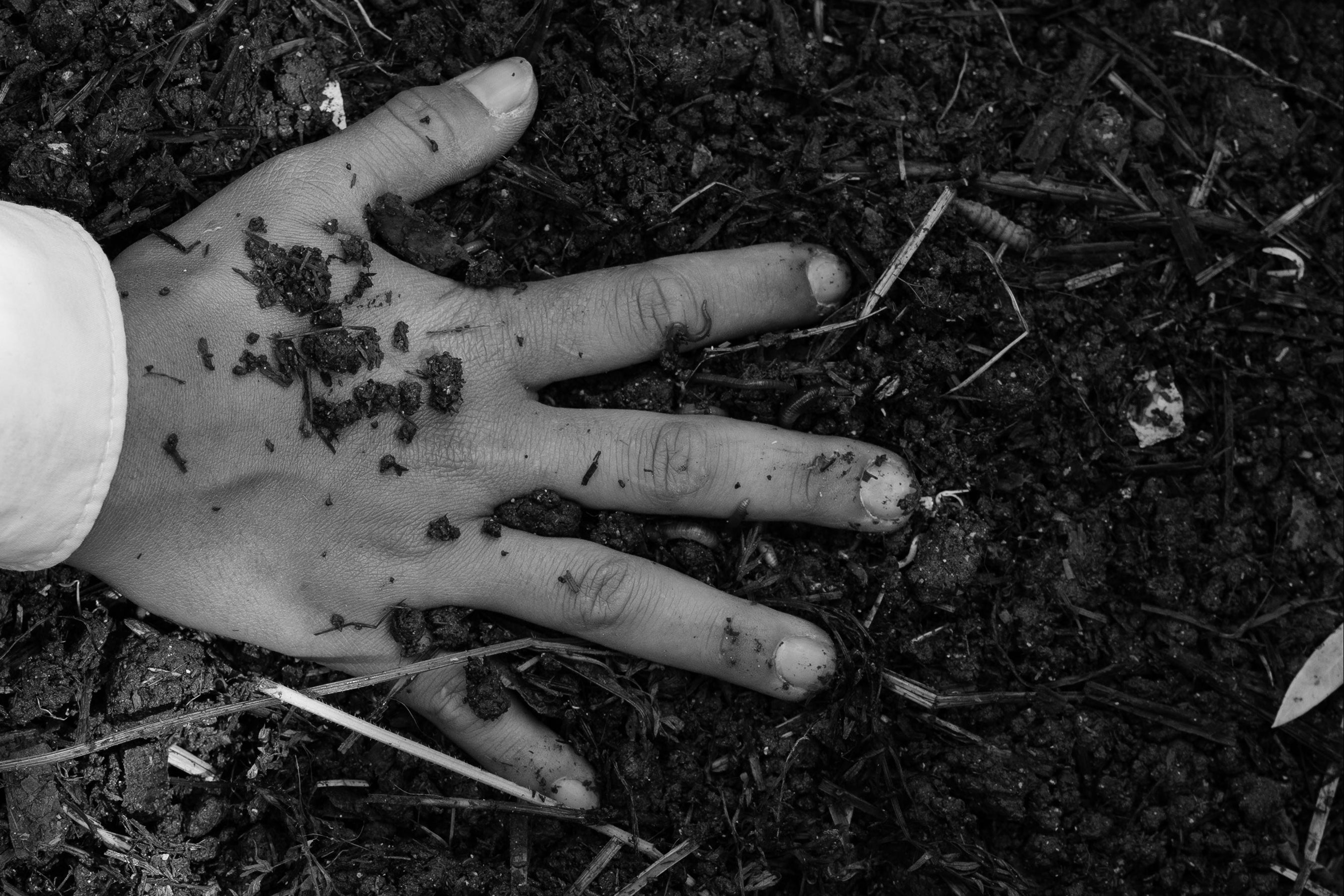 Hand covered in soil on the Cala Falcó estate