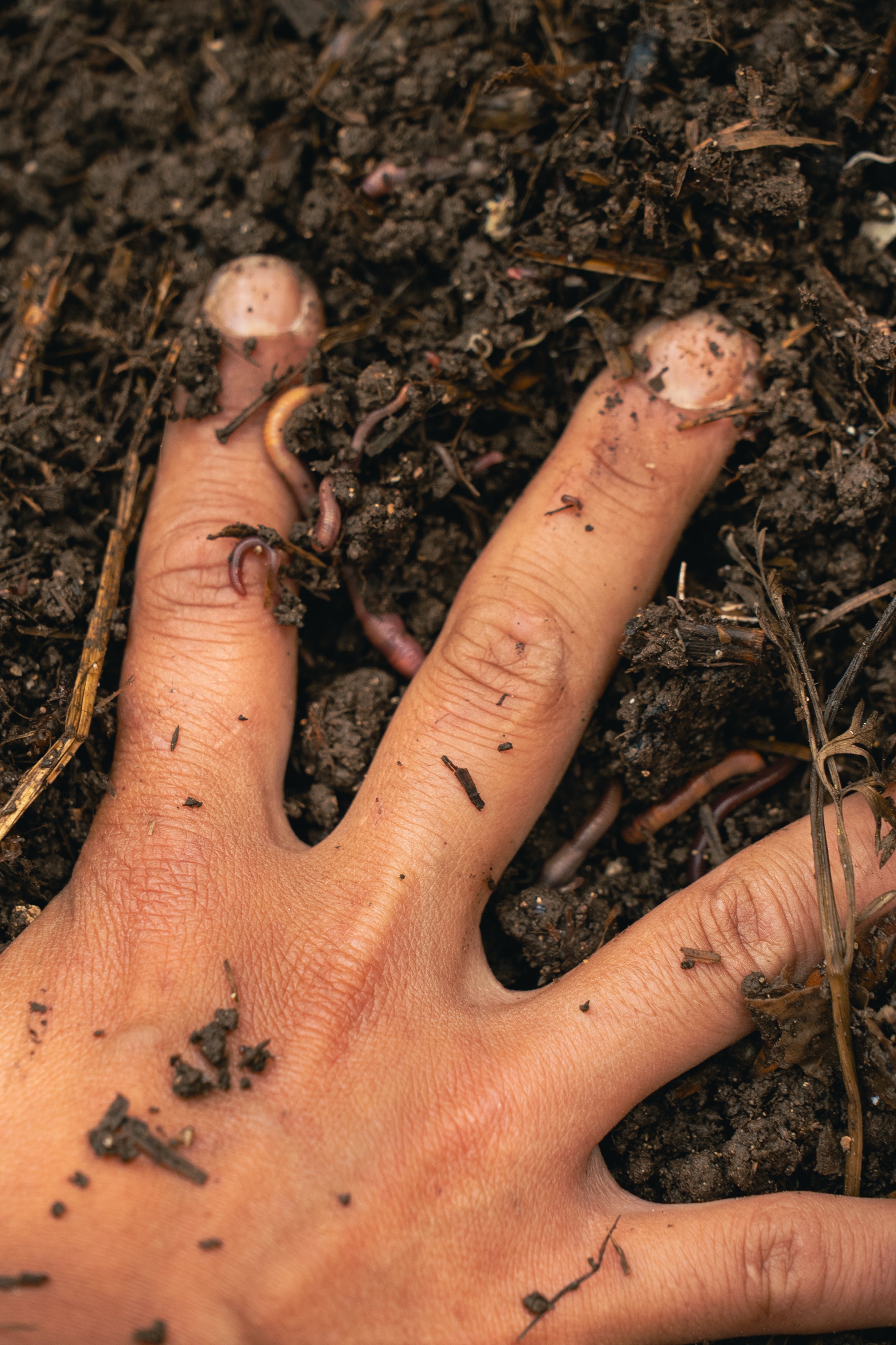 Hand in Soil on one of the farmers at the Cala Falcó estate in Mallorca