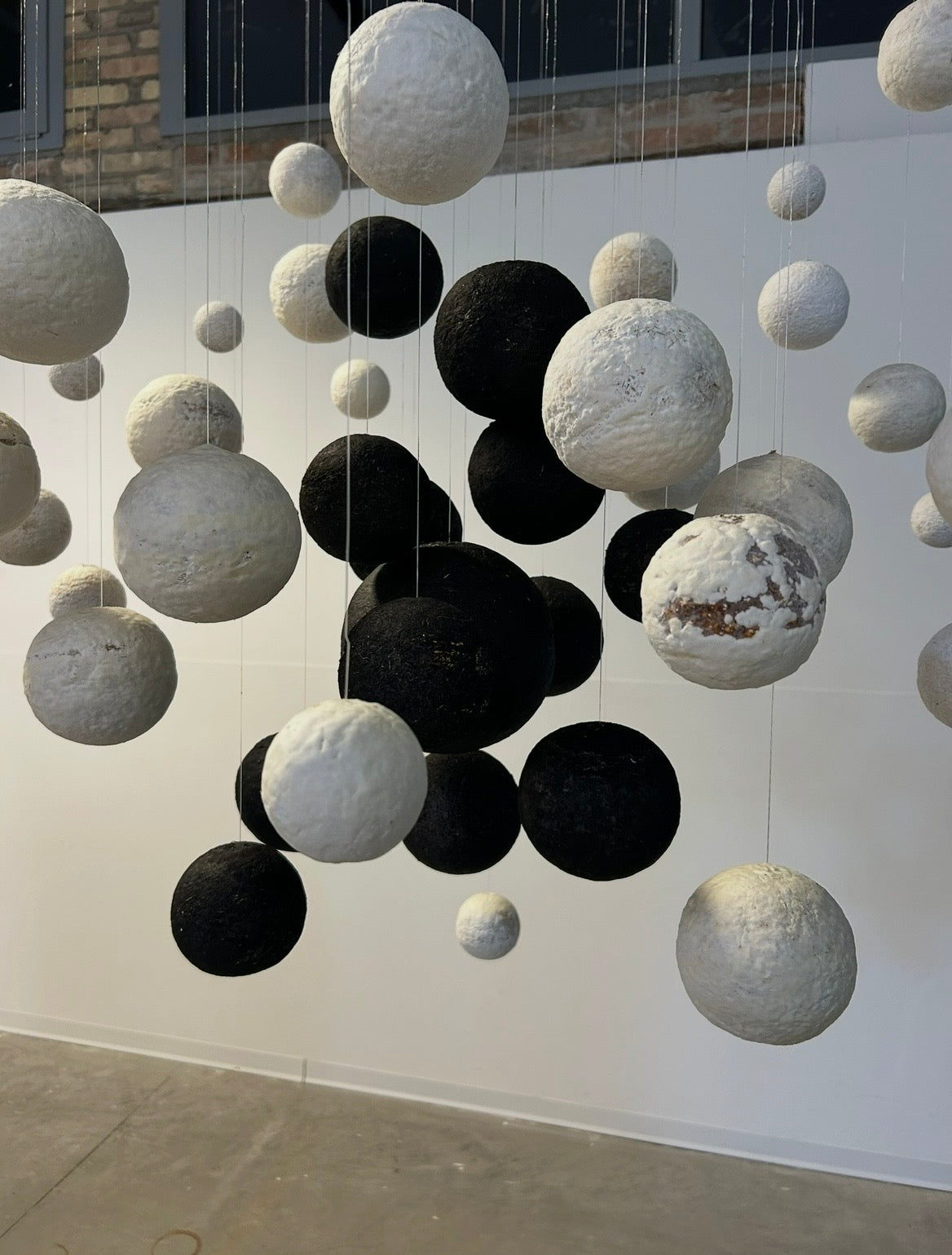 Viti Vinci Key Minor mycelium instillation at La Biennale Venezia